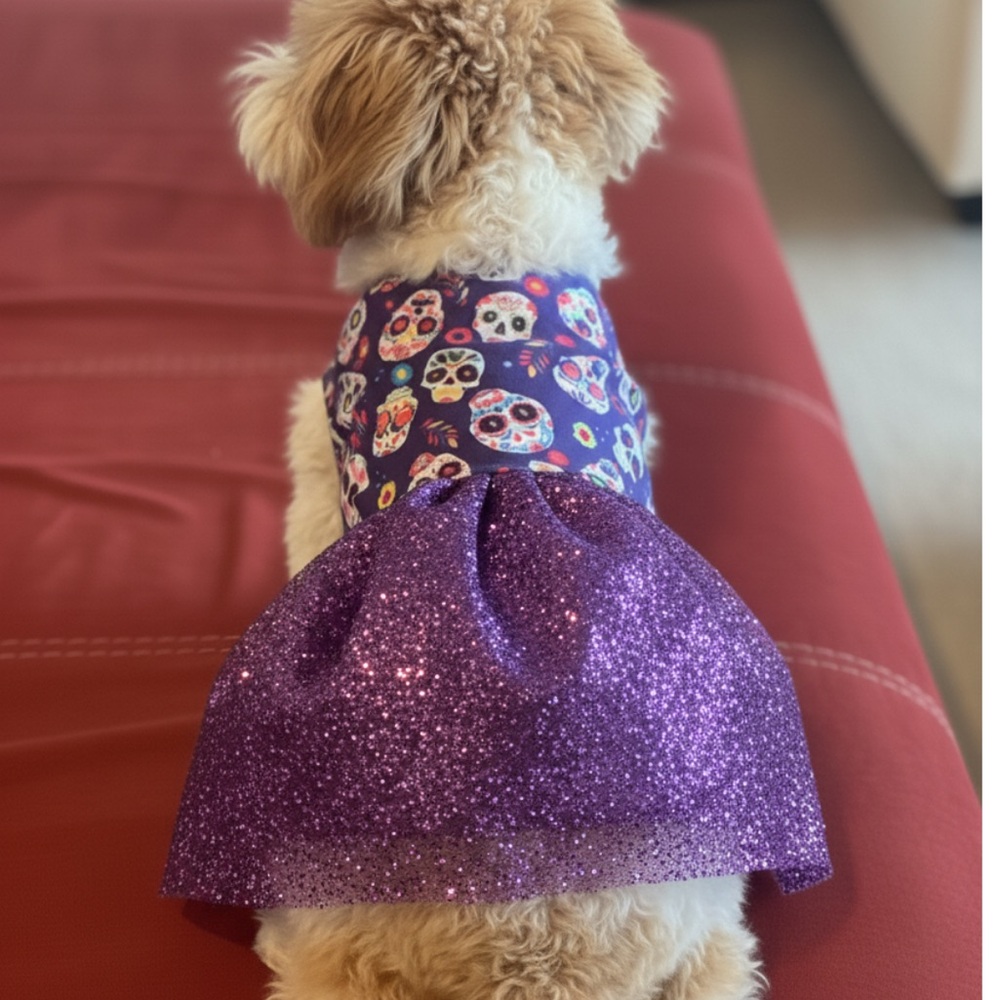 🆕NIP: SUGAR SKULL 💀 DOG DRESS- Sz Small